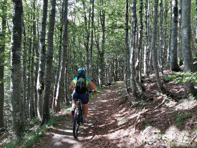 Nell’alta valle del Silla in mountain bike