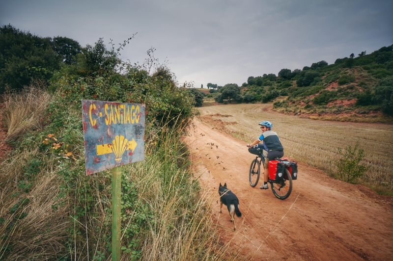 Guida al Cammino di Santiago in bici con il cane